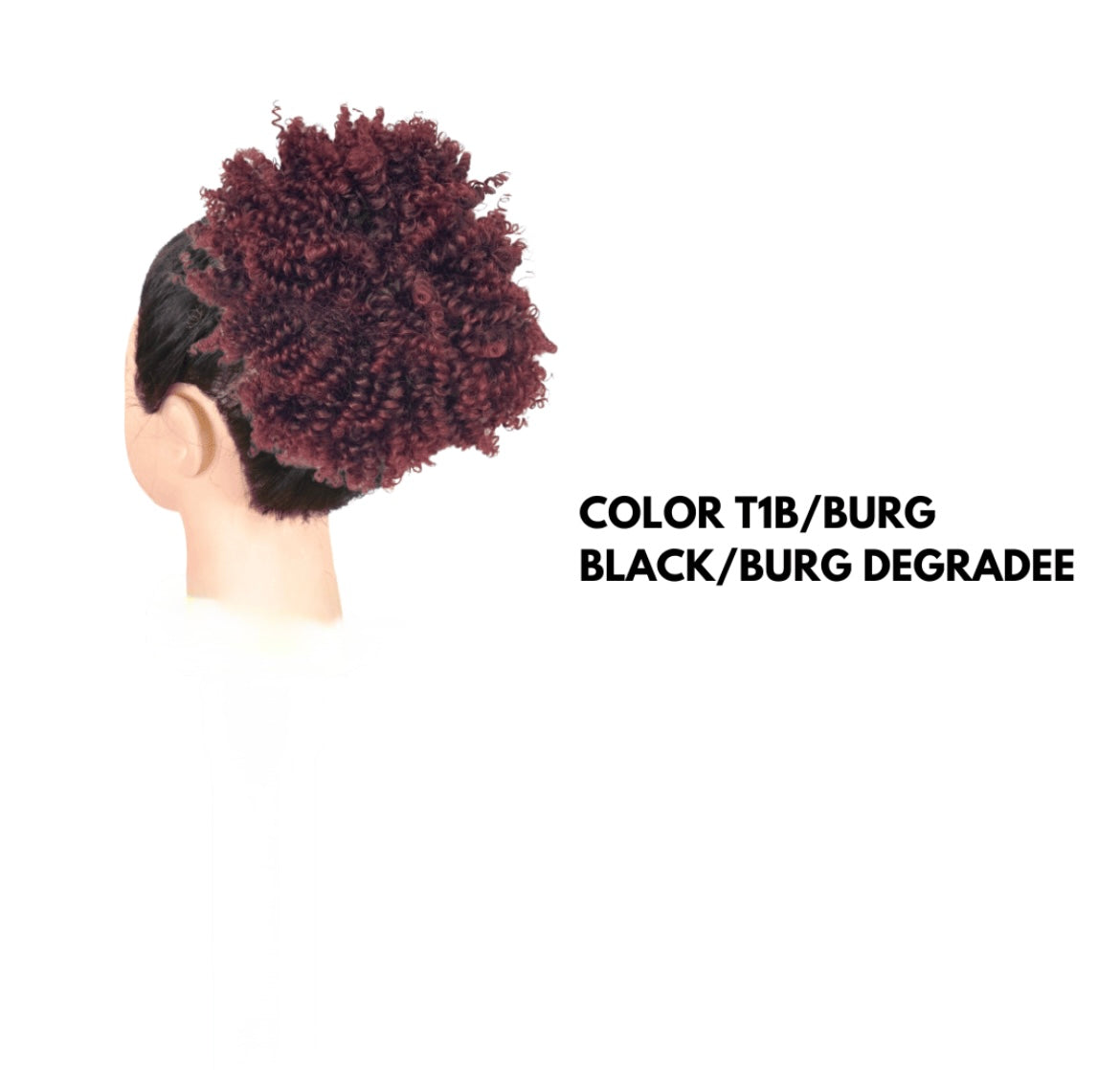 Chignon Afro con Coulisse - Red Degradee